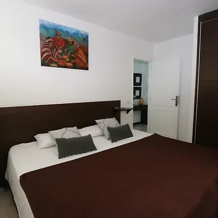 Atico Halley Apartment El Medano (Tenerife)